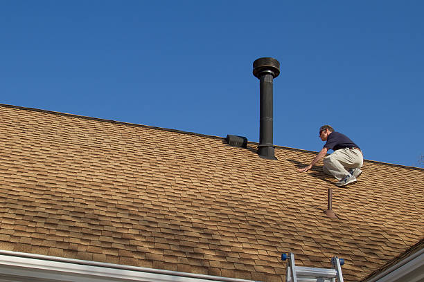 Best Roof Insulation Installation  in USA